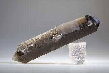 Rookkwarts dubbeleinder - Afbeelding 3