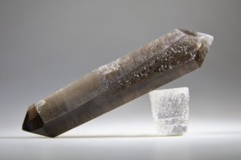 Rookkwarts dubbeleinder - Afbeelding 2