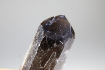 Rookkwarts dubbeleinder - Afbeelding 4