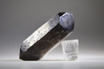 Rookkwarts dubbeleinder - Afbeelding 2