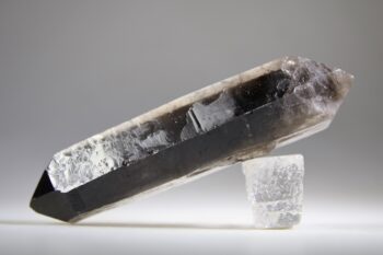 Rookkwarts dubbeleinder - Afbeelding 3