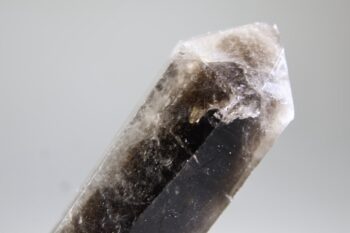 Rookkwarts dubbeleinder - Afbeelding 4