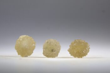 Rookcitrien ster uit Marokko - Afbeelding 4