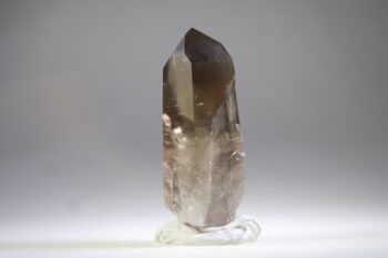 Rookkwarts punt - Afbeelding 5