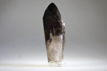 Rookkwarts punt (self healer) - Afbeelding 3