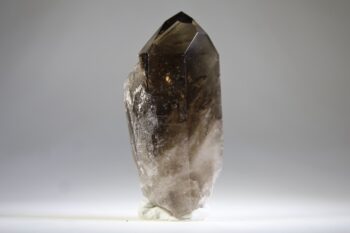 Rookkwarts punt (self healer) - Afbeelding 7