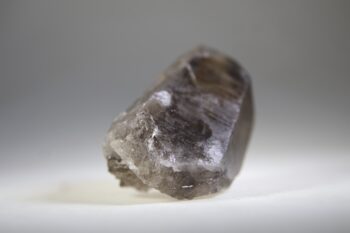 Rookkwarts punt (self healer) - Afbeelding 4