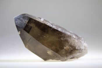 Rookkwarts punt (self healer) - Afbeelding 6