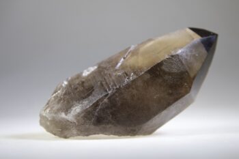 Rookkwarts punt (self healer) - Afbeelding 7