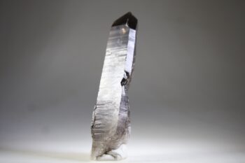 Rookkwarts punt - Afbeelding 3