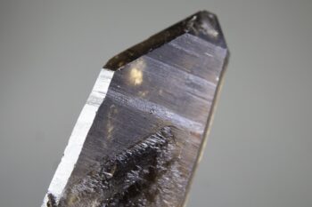 Rookkwarts punt - Afbeelding 5