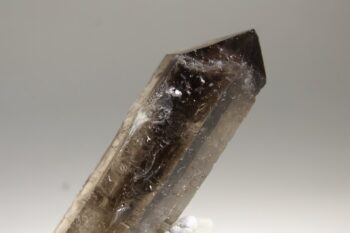 Rookkwarts dubbeleinder - Afbeelding 4