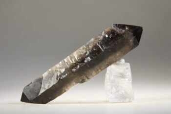 Rookkwarts dubbeleinder - Afbeelding 2