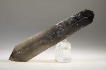 Rookkwarts dubbeleinder - Afbeelding 3