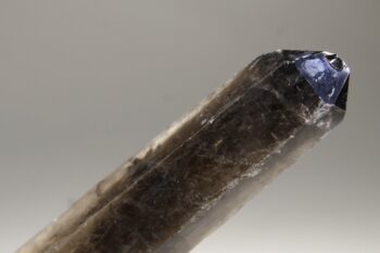 Rookkwarts dubbeleinder - Afbeelding 4