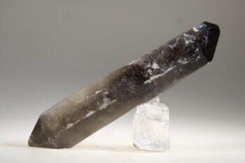 Rookkwarts dubbeleinder - Afbeelding 6