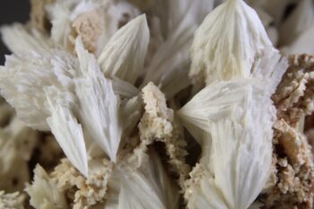 Scoleciet kristallen op zalmkleurige matrix - Afbeelding 2