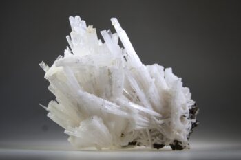 Scoleciet (heldere) met Stellar Beam Calcietjes - Afbeelding 3