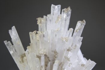 Scoleciet (heldere) met Stellar Beam Calcietjes - Afbeelding 2