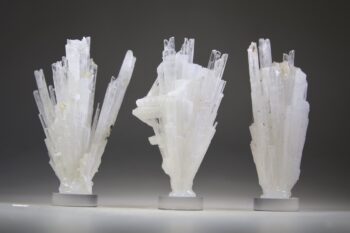 Scoleciet (heldere) met Stellar Beam Calcietjes