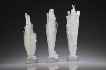 Scoleciet - Afbeelding 2