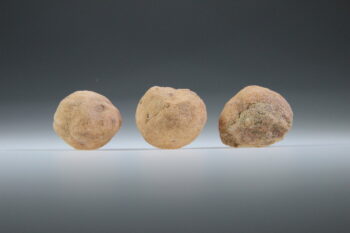 Sedona Sandstone (Sedonalite)