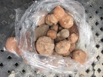 Sedona Sandstone (Sedonalite) - Afbeelding 2