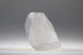 Self healer(zelfhelend) Brazilië - Afbeelding 2