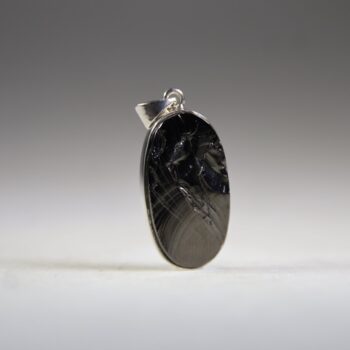 Shungit (Edel, Zilver of Noble) Hanger