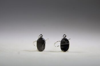 Shungit (Edel, Elite, Zilver of Noble) Oorhangers