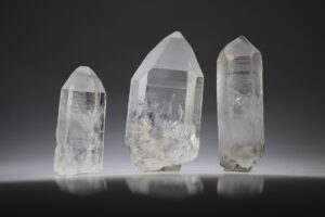 silver lemurian