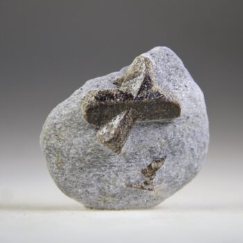 Stauroliet Elfenkruis