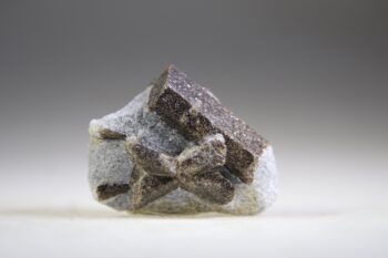 Stauroliet Elfenkruis