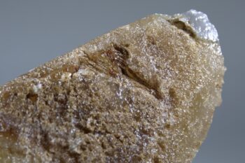 Stellar Beam Calciet met fantomen uit Marokko - Afbeelding 6