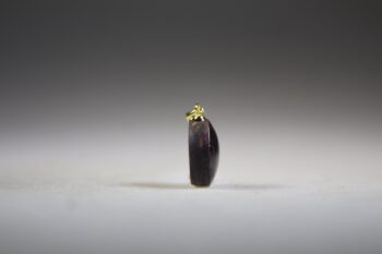 Sterrobijn Hanger (gold plated) - Afbeelding 3