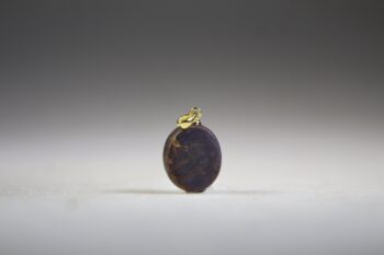Sterrobijn Hanger (gold plated) - Afbeelding 4