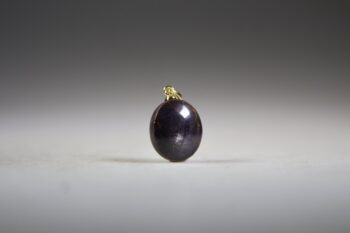 Sterrobijn Hanger (gold plated)