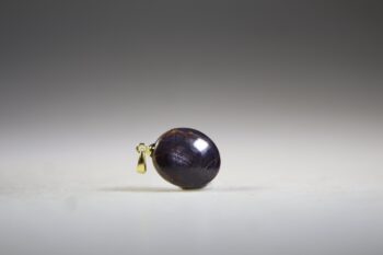 Sterrobijn Hanger (gold plated) - Afbeelding 2