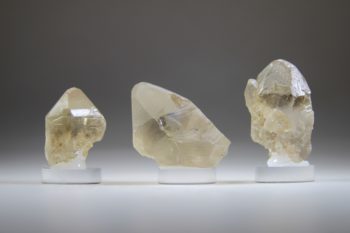 Citrien Sun Flame (Uitverkocht)