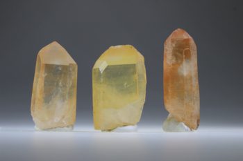 Tangerine Lemurian - Afbeelding 6