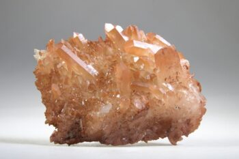 Tangerine Lemurian - Afbeelding 9