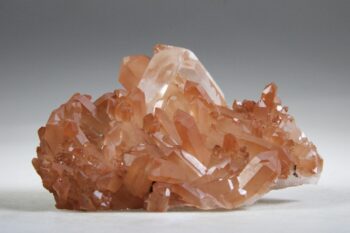Tangerine Lemurian - Afbeelding 8