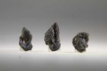 Tektiet uit Darwin (Darwiniet of Darwin Glas)