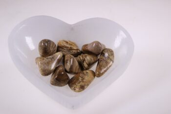 Jaspis Royal Sahara / Kalahari Jaspis 100 gram