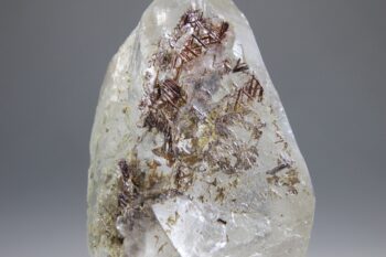 Sageniet de Saussure uit Serra de Minas, Brazilië - Afbeelding 3