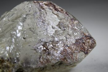 Sageniet de Saussure uit Serra de Minas, Brazilië - Afbeelding 4