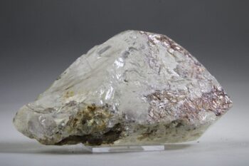 Sageniet de Saussure uit Serra de Minas, Brazilië - Afbeelding 9