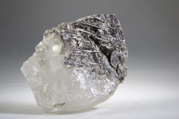Sageniet de Saussure uit Serra de Minas, Brazilië - Afbeelding 10