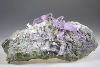 Vera Cruz Amethist Cluster