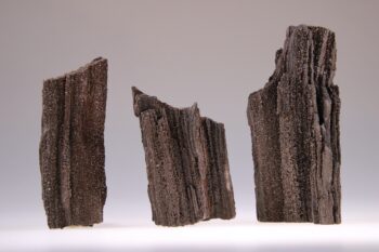 Versteend hout van de Mammoetboom of Reuzen Sequoia met kwartskristalletjes - Afbeelding 2